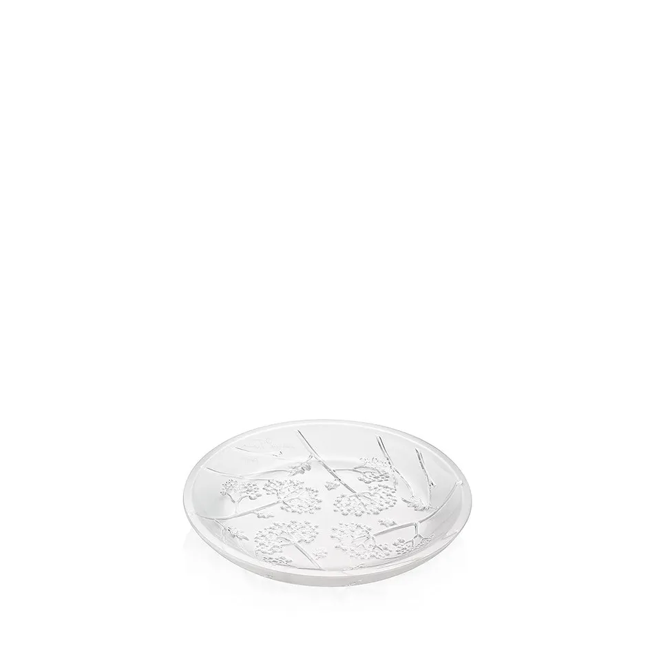 Lalique Ombelles Coppa Piatta Cristallo Satinato