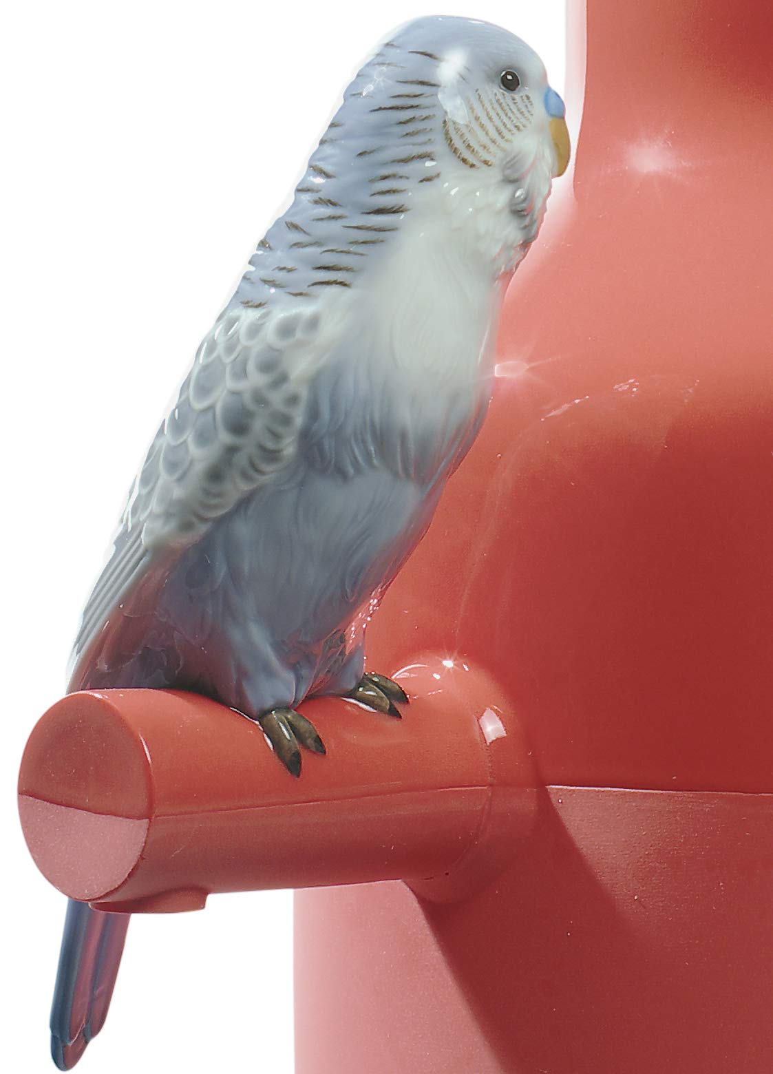 Lladró Parrot Parade vaso porcellana rosso corallo pappagalli