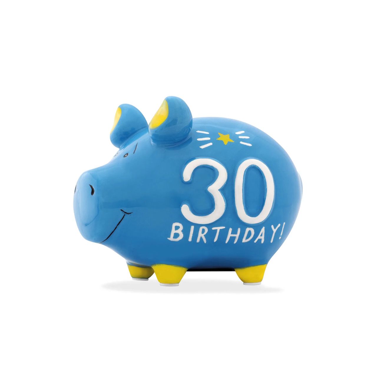 Sparschwein Company Kleinschweine 30 Birthday salvadanaio blu