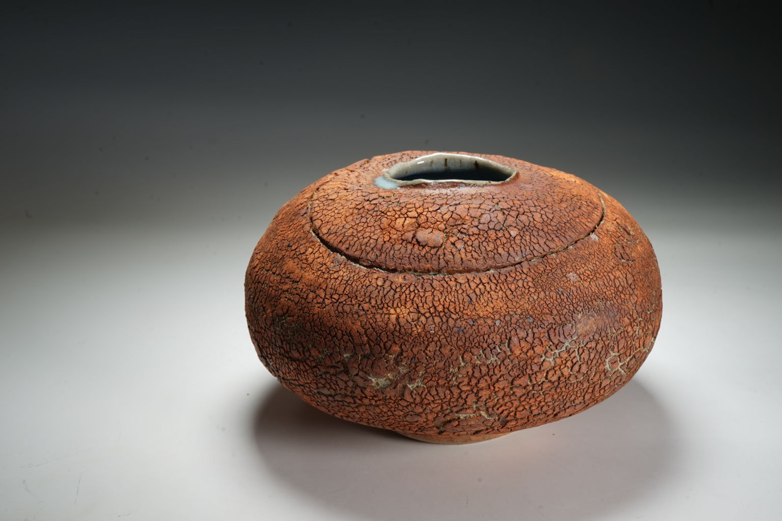 Terry Davies Bowls Vaso Basso Ikebana Ceramica Azzurra