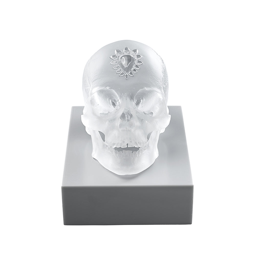 Lalique Art Eternal Sleep Scultura Cristallo Satinato Unica