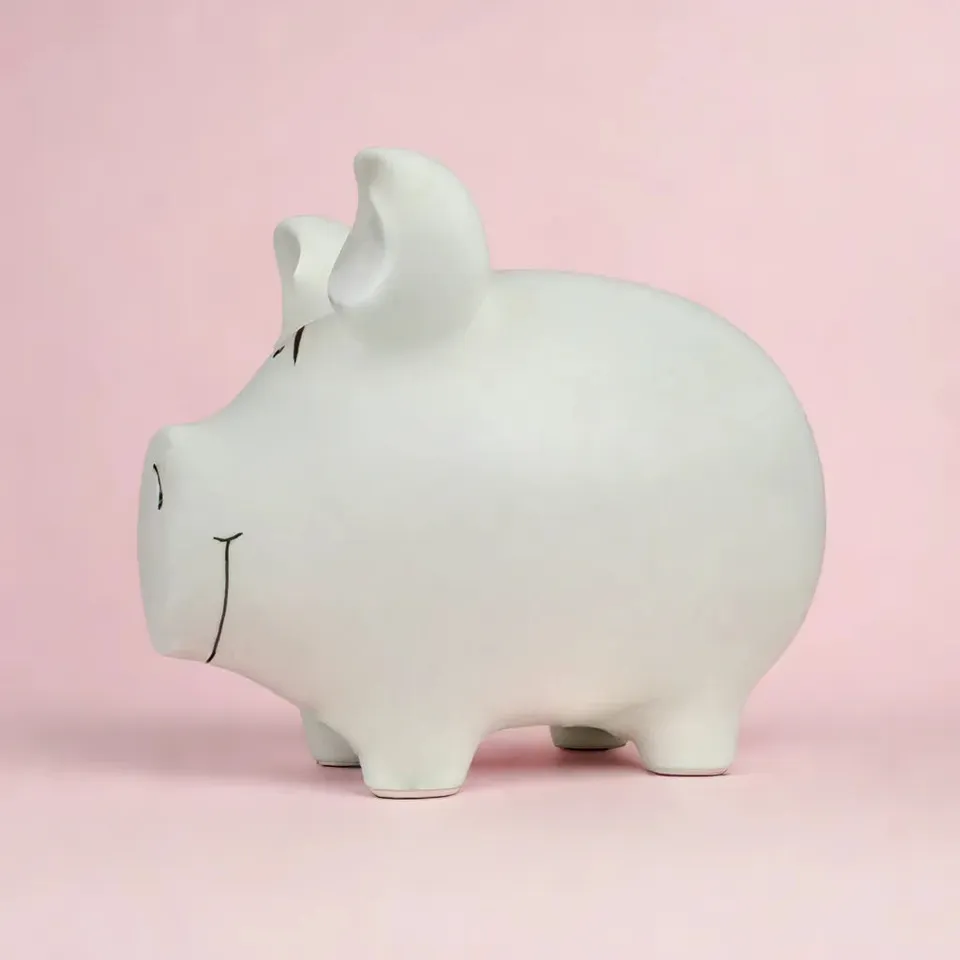 Sparschwein Kleinschweine Basic Bianco Salvadanaio Piccolo