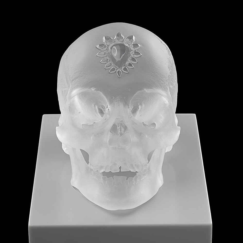 Lalique Art Eternal Sleep Scultura Cristallo Satinato Unica