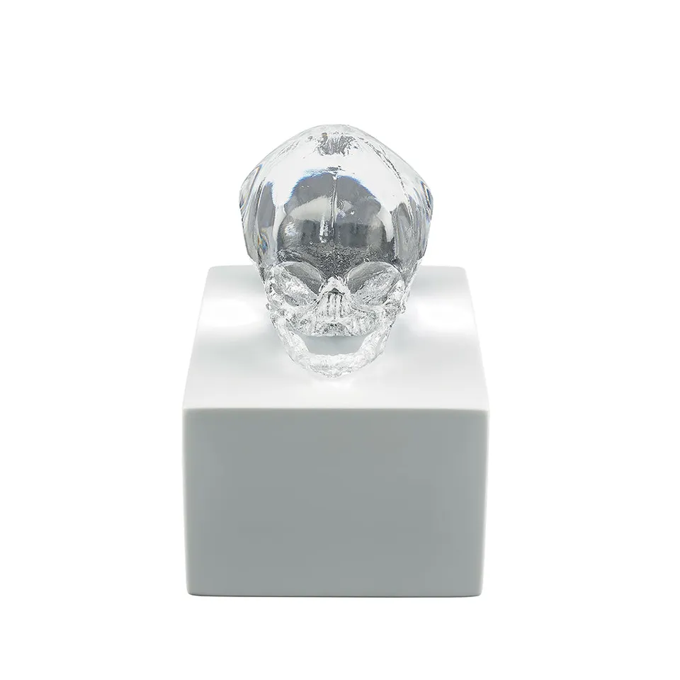 Lalique Art Eternal Memory scultura incolore TU