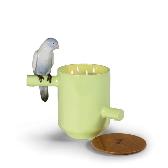 Lladró Candele Parrot's Treasure On Prairie candela porcellana profumata