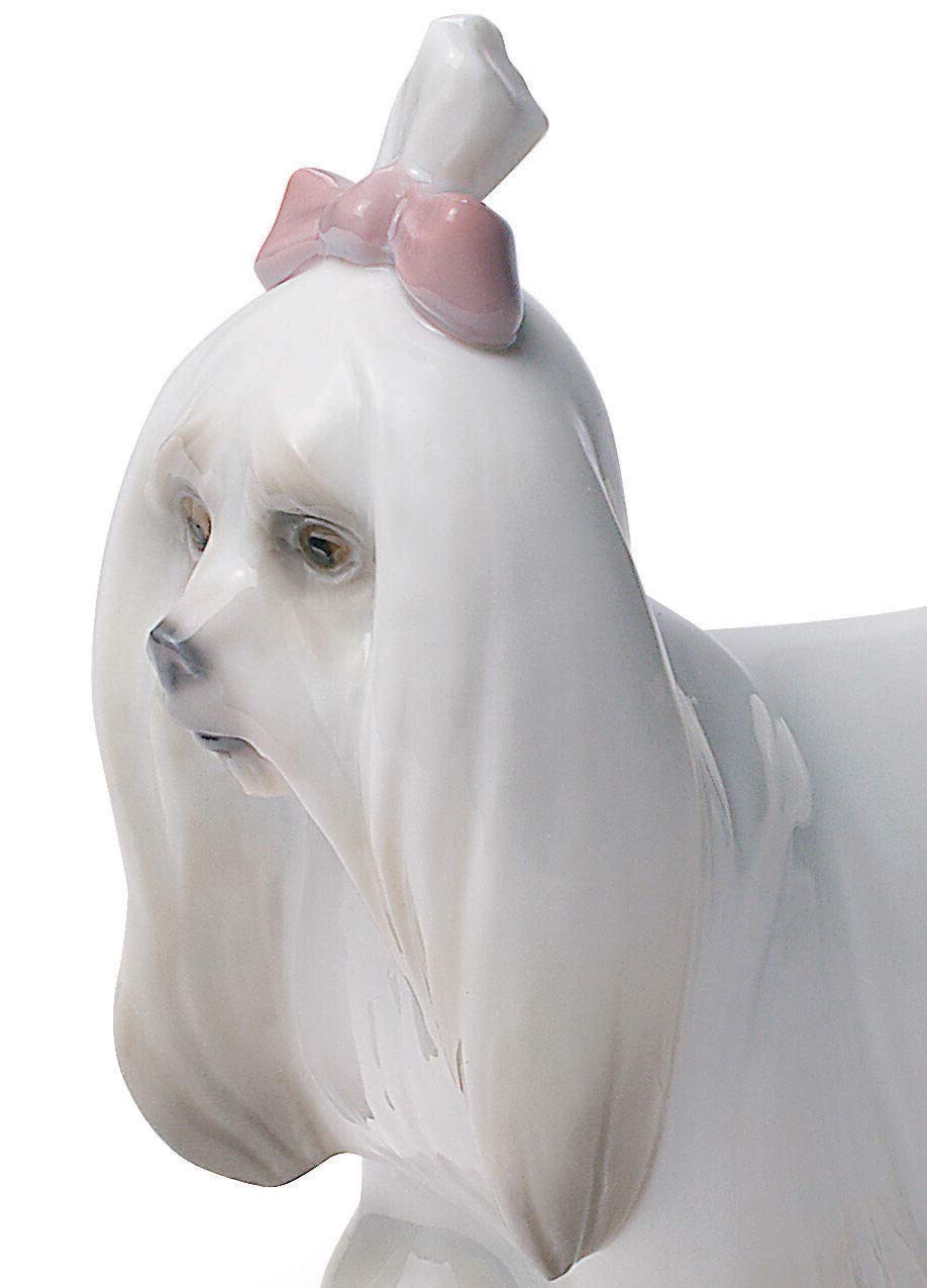 Lladró Sculture Cane Maltese statuetta porcellana animale