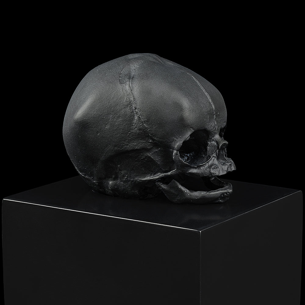 Lalique Art Eternal Memory Hirst Scultura Nera 2017