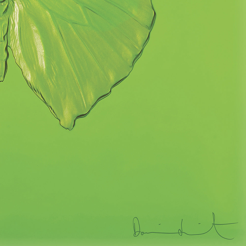 Lalique Art Eternal Love pannello cristallo verde Hirst