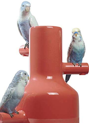 Lladró Parrot Parade vaso porcellana rosso corallo pappagalli