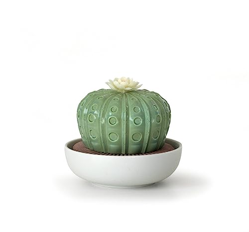 Lladró Astrophytum diffusore porcellana Tropical Blossoms