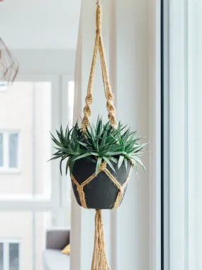 Piante d'Aria Verzaura Decorativa Hanging Plant Pianta Sospesa