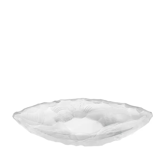 Lalique Silex coppa in cristallo satinato incolore taglia M
