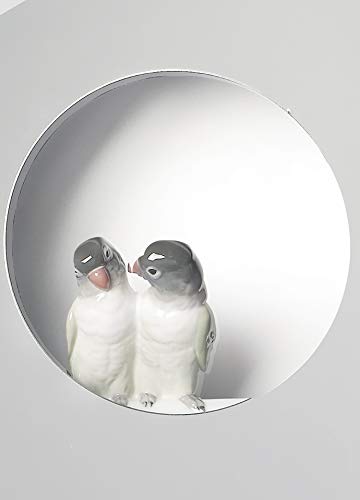 Lladró Parrot Shine I specchio in porcellana decorativo parete