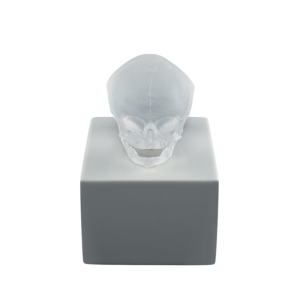 René Lalique Art Eternal Memory scultura cristallo satinato