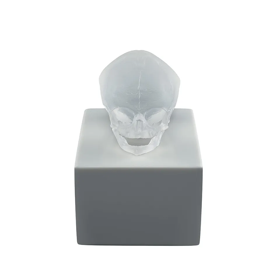 René Lalique Art Eternal Memory scultura cristallo satinato