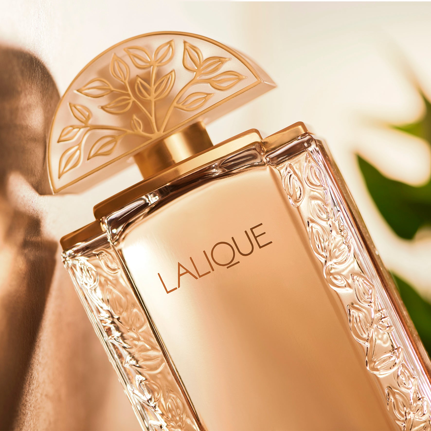 Lalique de Lalique Eau de Parfum donna 100 ml floreale