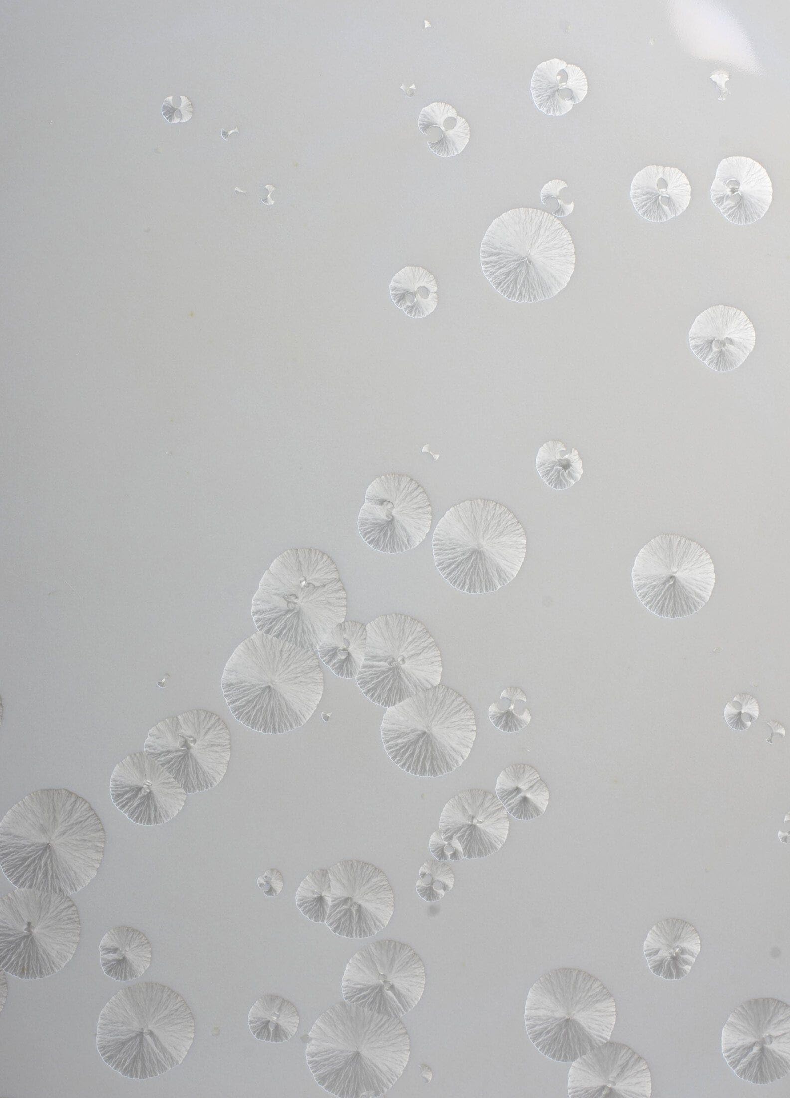 Lladró Momento di Ghiaccio Tavolino Porcellana Cromato