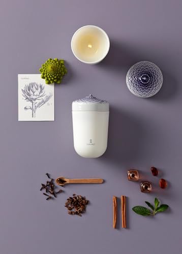 Lladró Candele Echoes of Nature A Secret Orient profumata