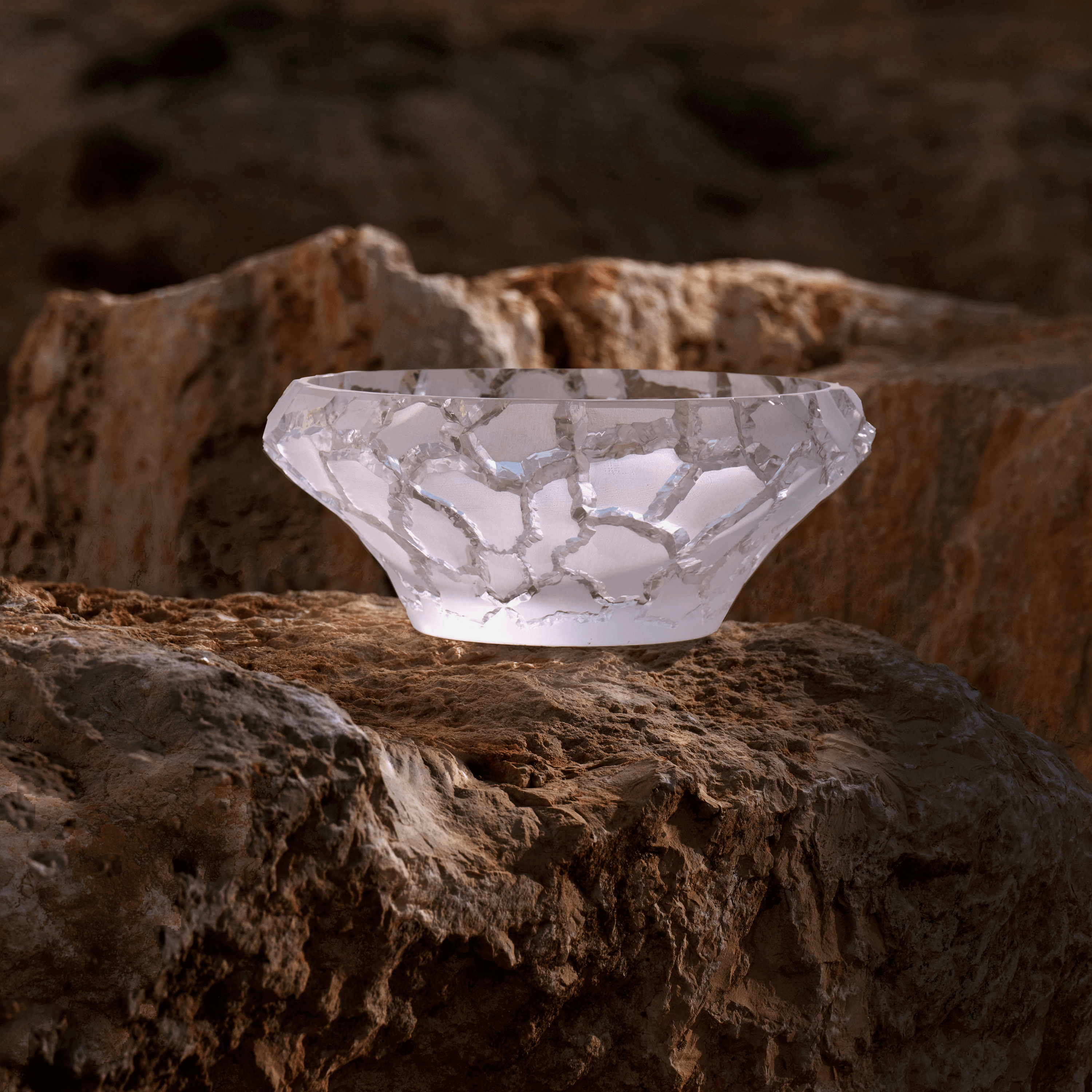René Lalique Caldera coppa in cristallo satinato incolore