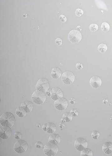 Lladró Momenti tavolino porcellana ghiaccio wengé ciotola
