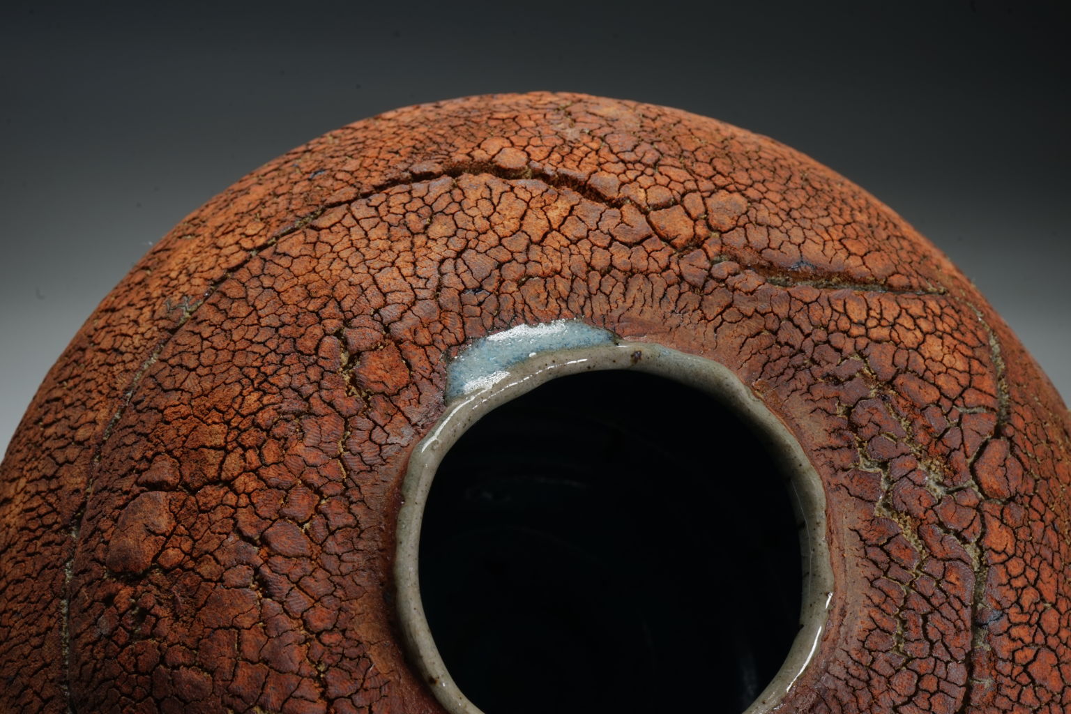 Terry Davies Bowls Vaso Basso Ikebana Ceramica Azzurra