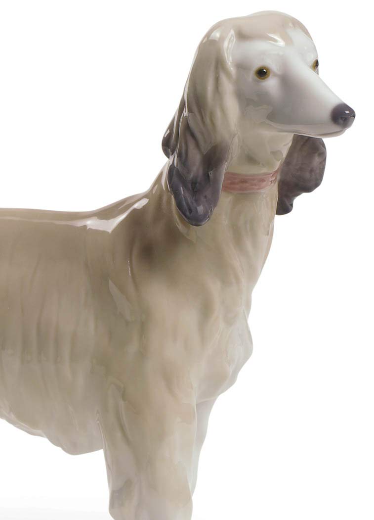 Lladró Sculture Galgo Afgano figurina cane porcellana levriero