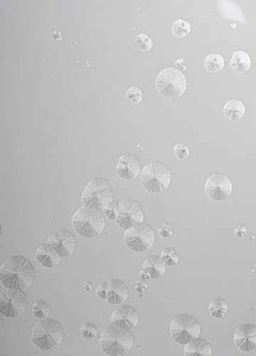 Lladró Momento Ghiaccio tavolo porcellana wengé