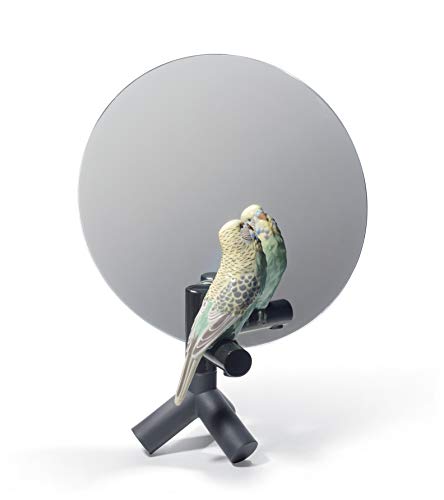 Lladró Parrot Vanity specchio porcellana pappagallo fatto a mano