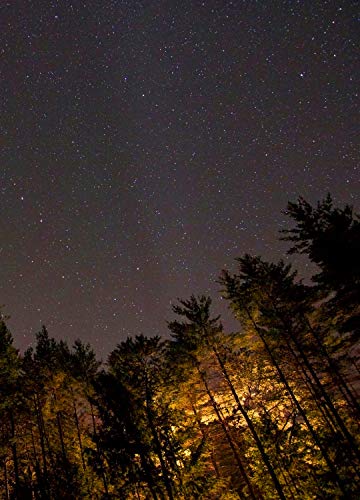 Lladró Magic Forest orecchini in porcellana fatti a mano