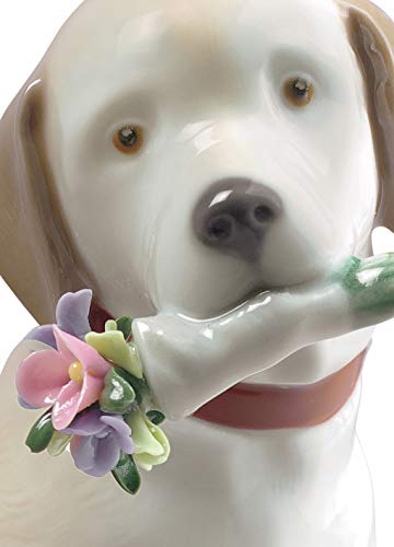 Lladró Sculture Questi Fiori Sono Per Te statuetta cane porcellana lucida
