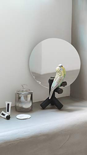 Lladró Parrot Vanity specchio porcellana pappagallo fatto a mano