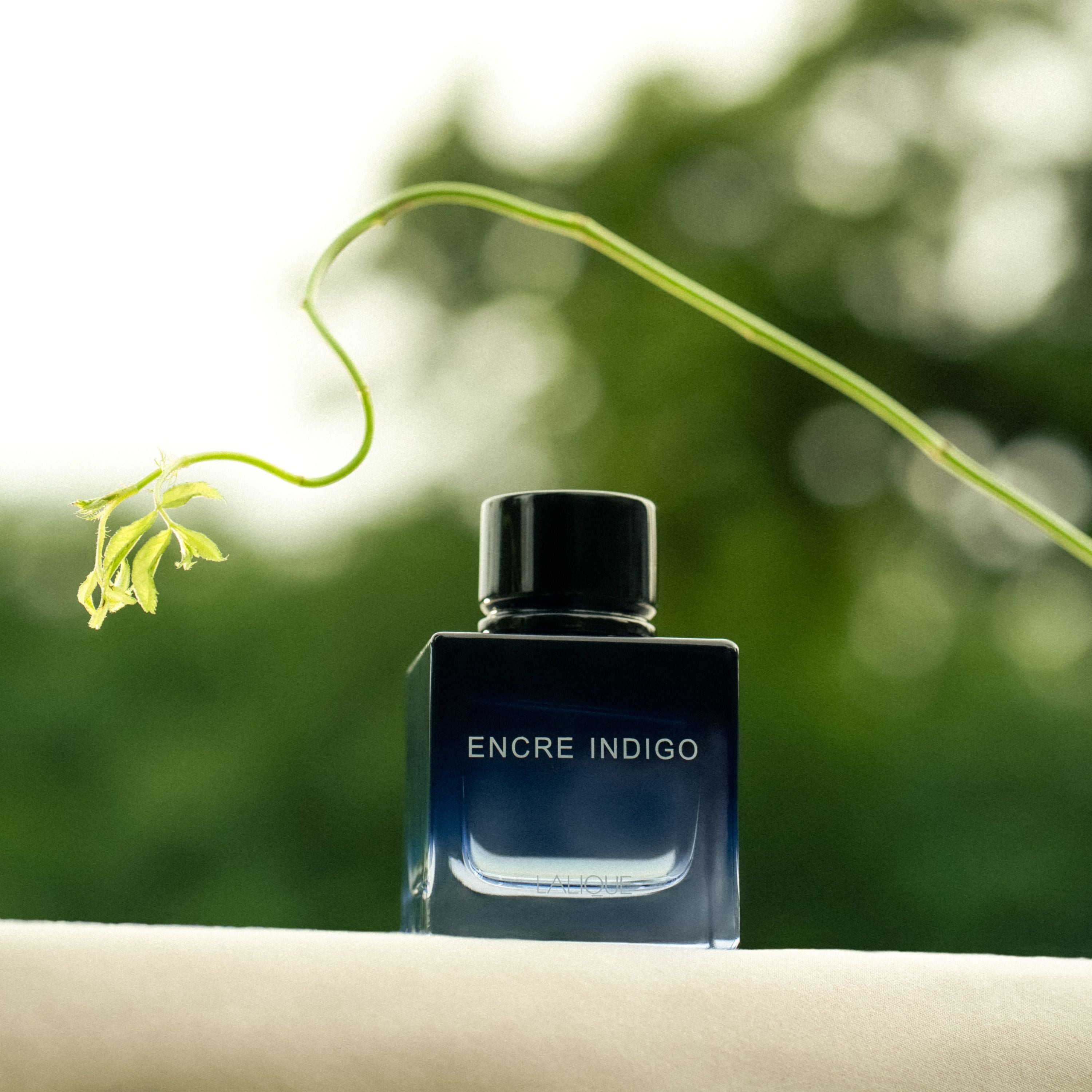 René Lalique Encre Indigo profumo uomo 50 ml legnoso