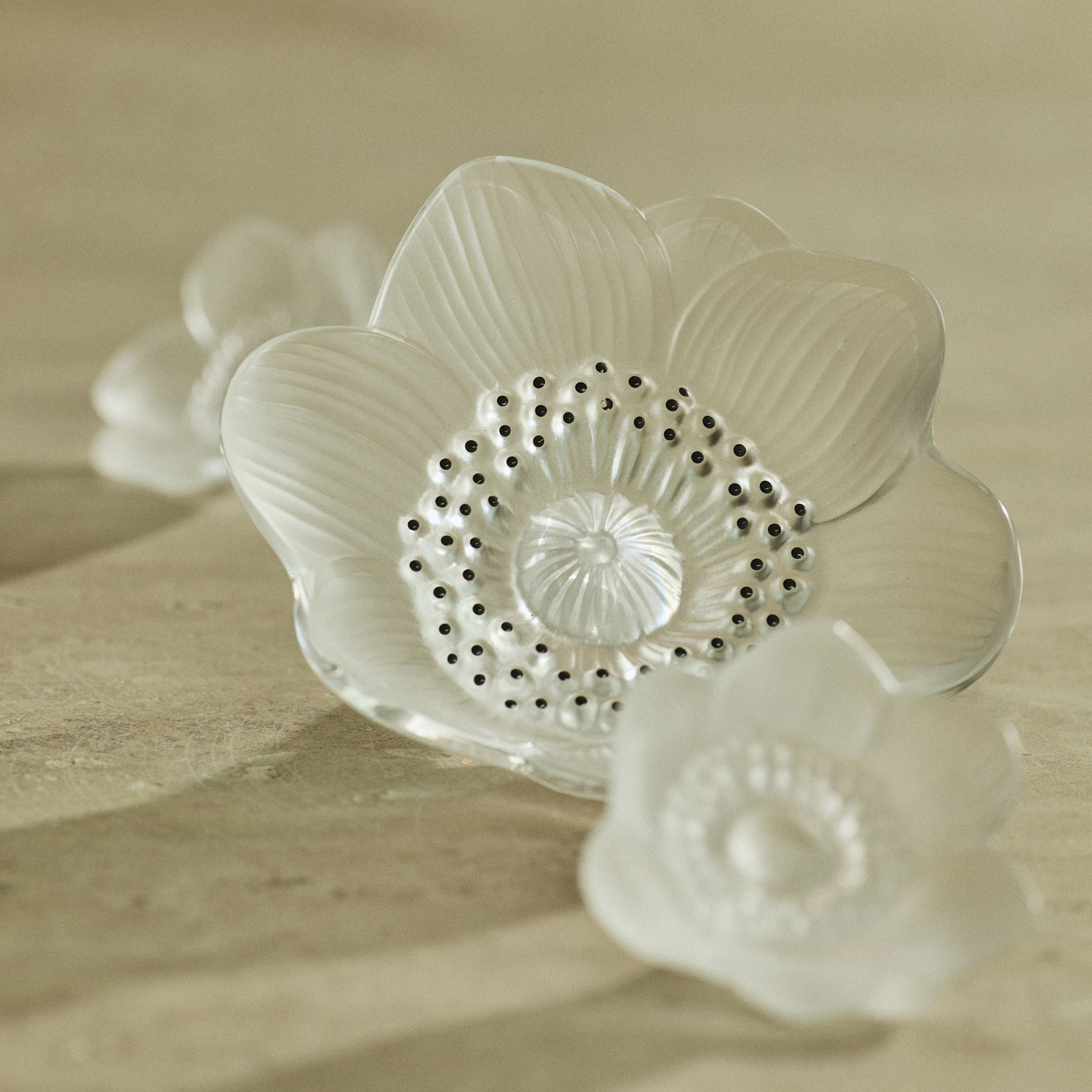 Lalique Anemone Scultura Piccola Cristallo Taglia S