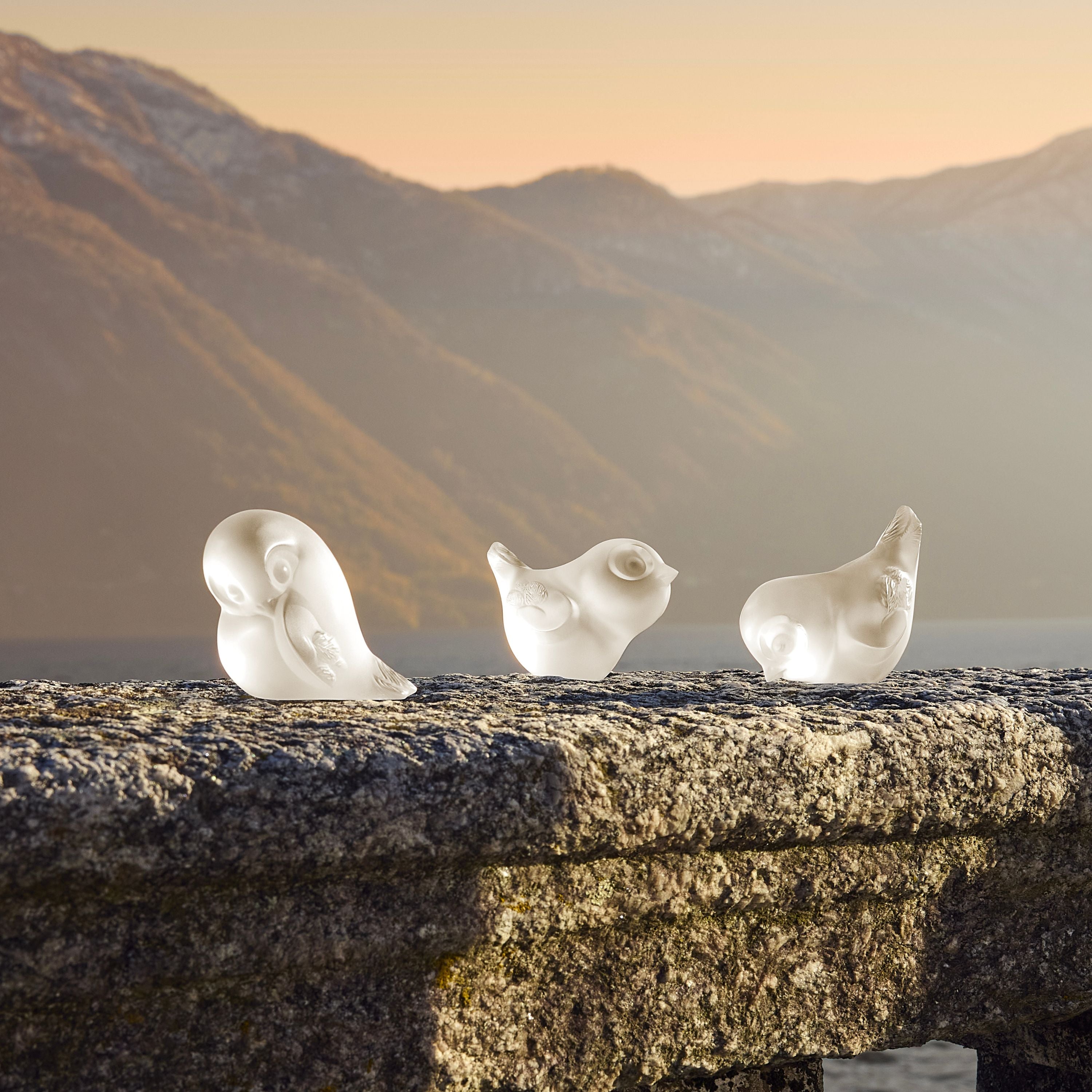 Lalique Piou-Piou Testa Alta scultura cristallo incolore