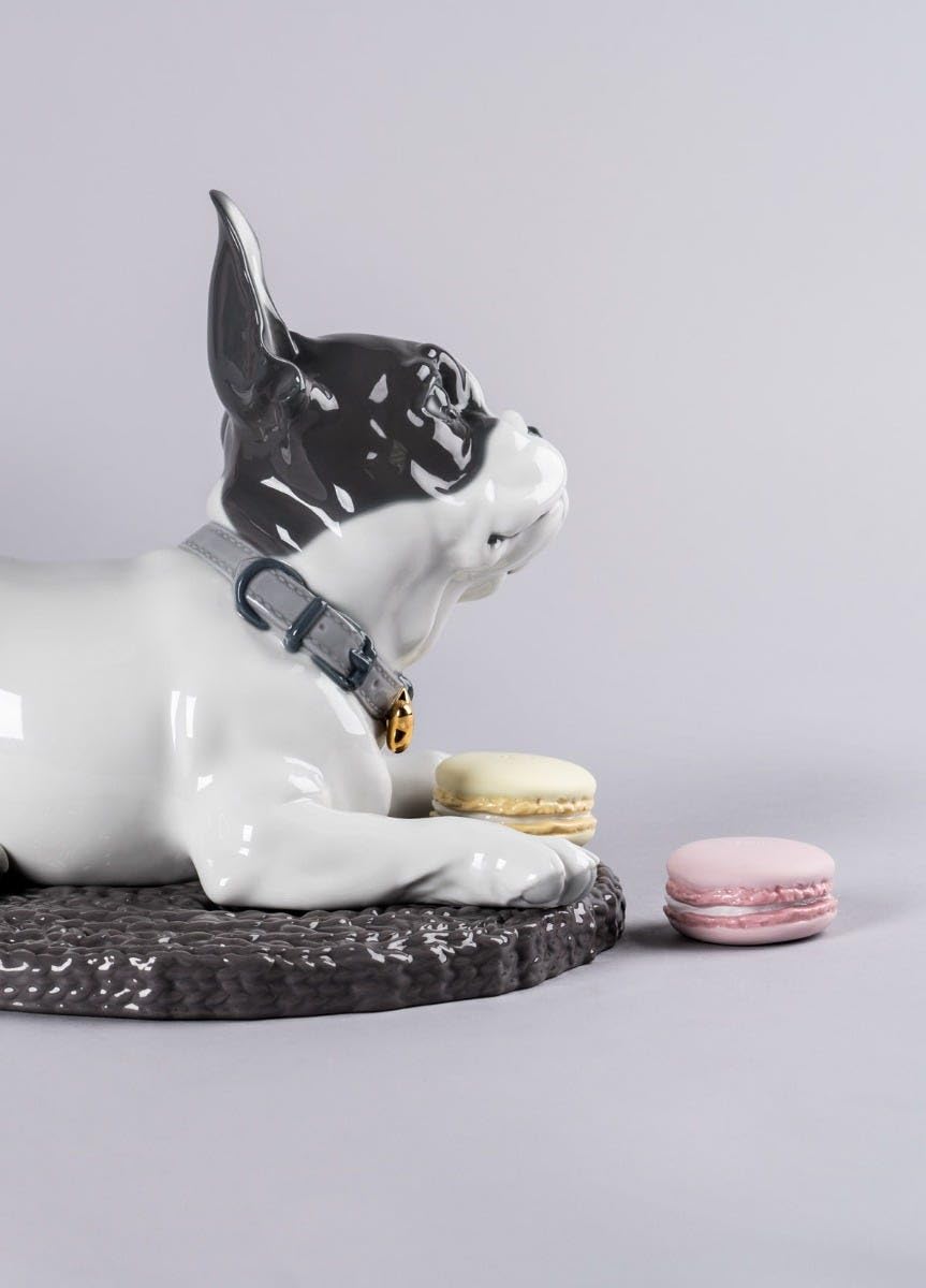 Lladró French Bulldog scultura cane macarons porcellana oro