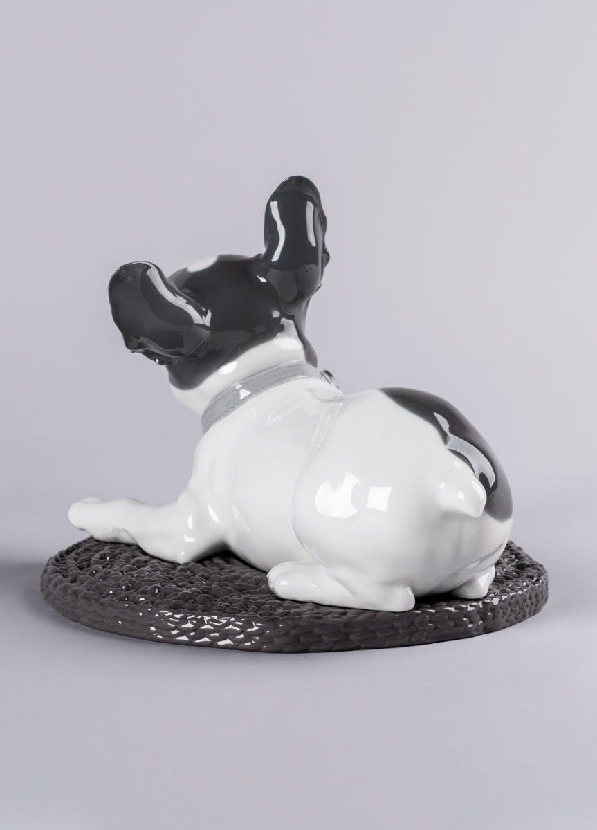 Lladró French Bulldog scultura cane macarons porcellana oro