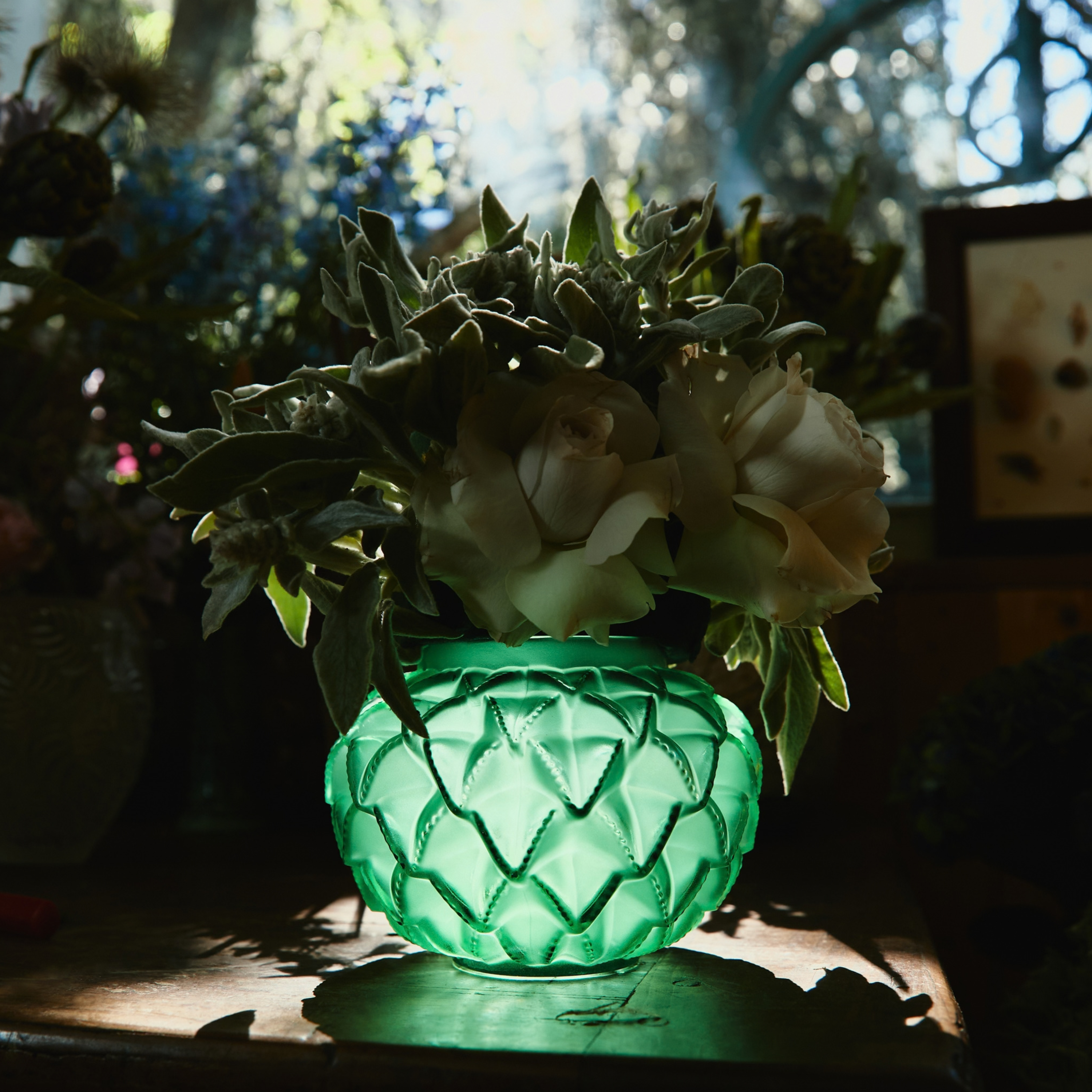 René Lalique Languedoc vaso cristallo verde Taglia M