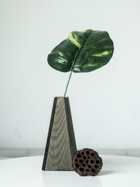 Piante d'Aria Vasi e Bottiglie Unique Wooden Vase vaso legno