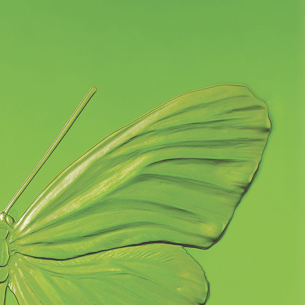 Lalique Art Eternal Hope pannello decorativo verde argento