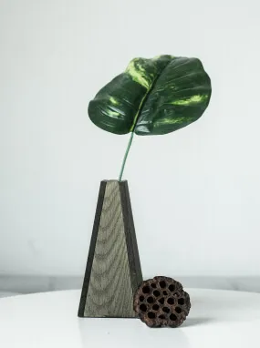 Piante d'Aria Vasi e Bottiglie Unique Wooden Vase vaso legno