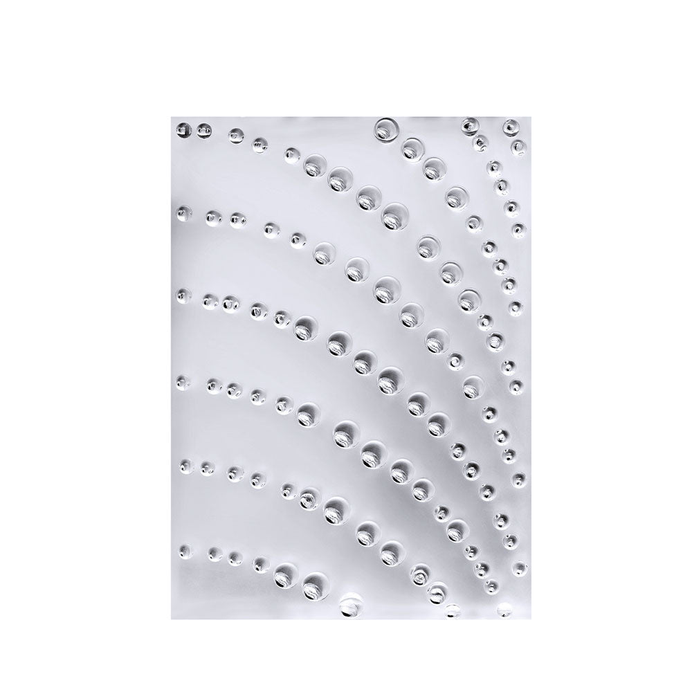 Lalique Coutard pannello decorativo cristallo One Size