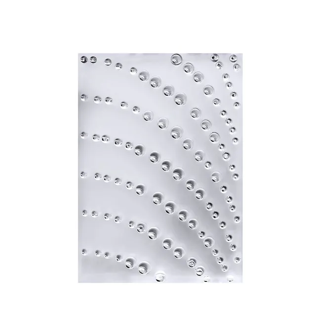 Lalique Coutard pannello decorativo cristallo One Size