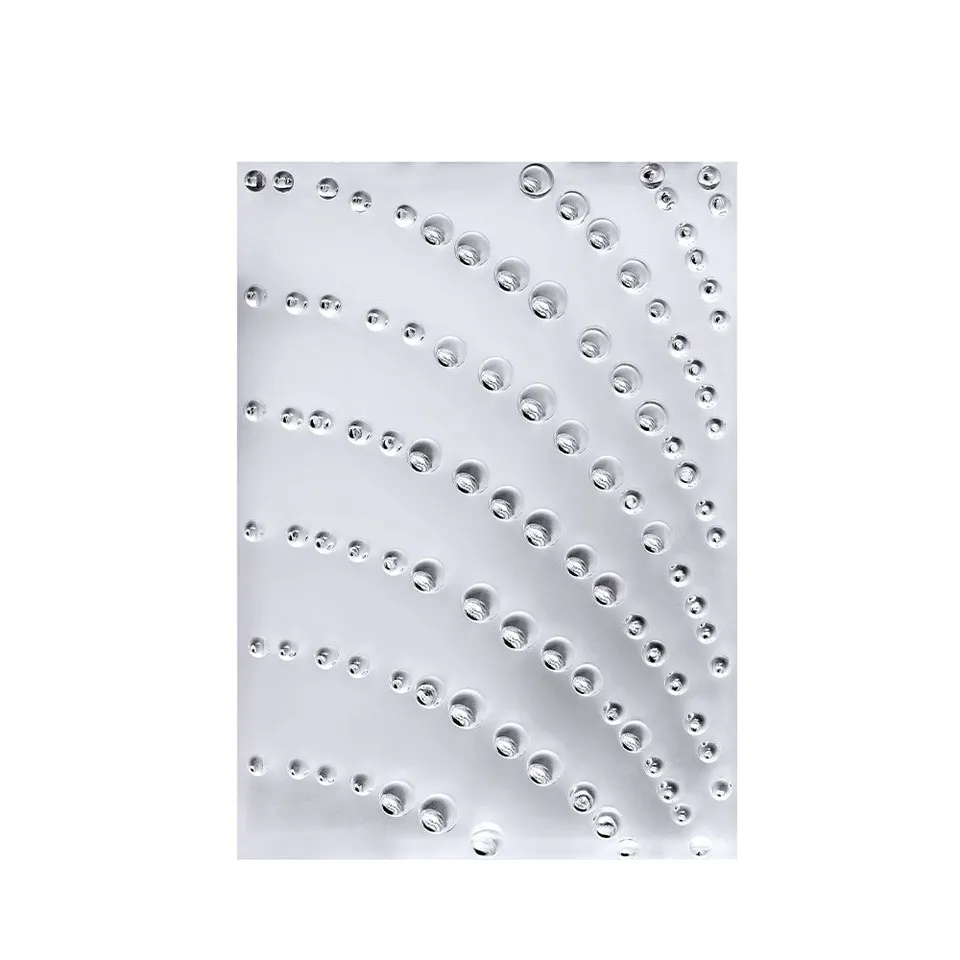 Lalique Coutard pannello decorativo cristallo One Size