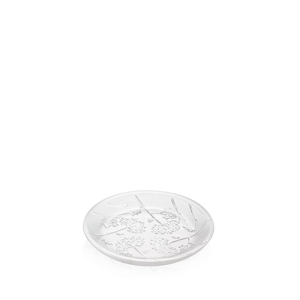 Lalique Ombelles Coppa Piatta Cristallo Satinato