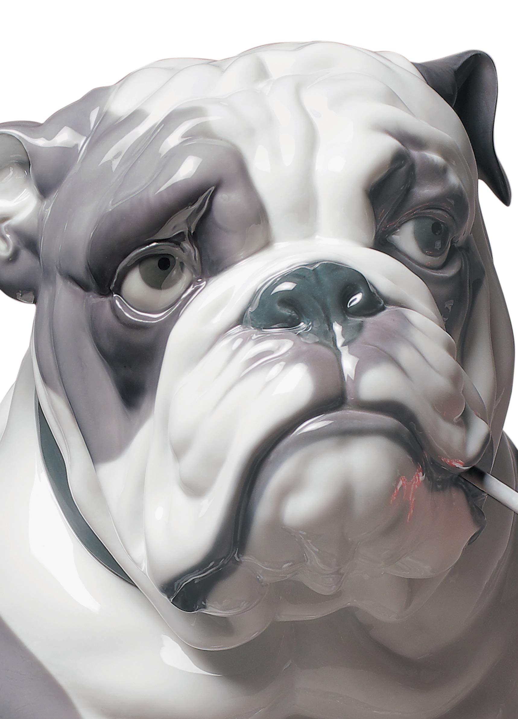 Lladró Sculture Cane Bulldog con Leccalecca Figurina Porcellana