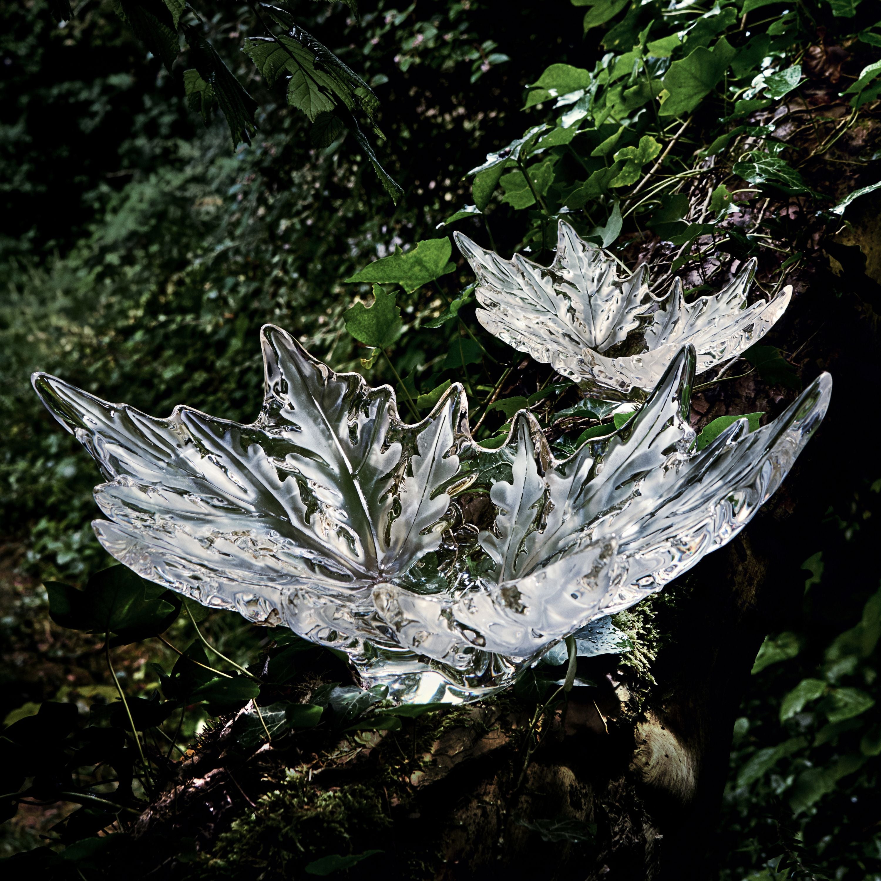 Lalique Champs-Élysées coppa cristallo M foglie